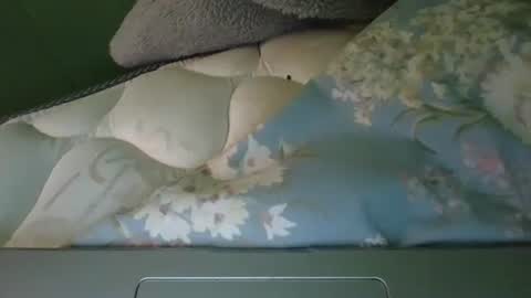 Snapshot of daisnconfusion_ chatting on 03.06.25 daisnconfusion_ online show from 03.06.25