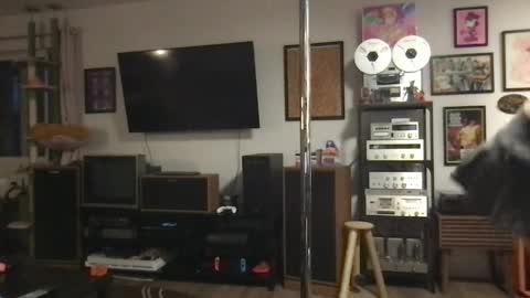 daisymynx online show from 04.06.26