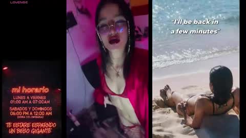 Snapshot of dakkohott chatting on 01.13.26 Dakko online show from 01.13.26