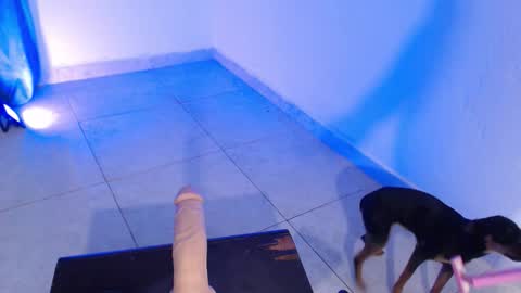 VALENTINA  online show from 11.16.25