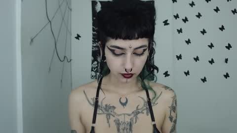 dakota online show from 01.14.25