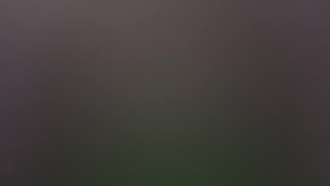 dallasjmg online show from 02.25.26