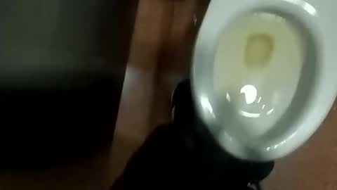 Snapshot of damian950 chatting on 04.12.26 damian950 online show from 04.12.26