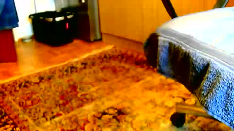 Snapshot of dammerl6 chatting on 12.02.25 Dammerl online show from 12.02.25