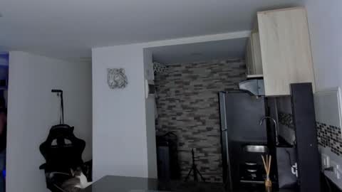 INSTAGRAM  DAMMIANMILLEROFICIAL online show from 02.19.26