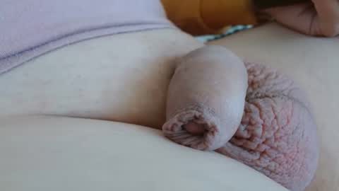 Damocles online show from 09.11.25