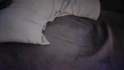 Snapshot of dan5666 chatting on 11.27.25 dan5666 online show from 11.27.25