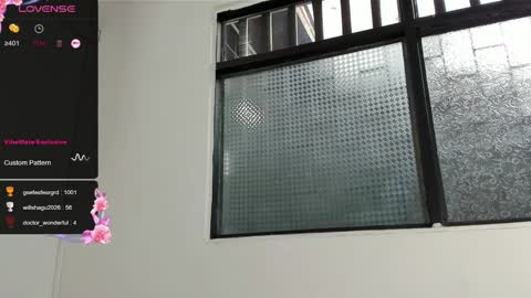 Snapshot of dani_ary chatting on 12.13.24 DANI online show from 12.13.24