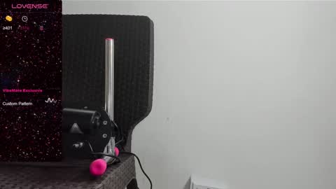 Snapshot of dani_ary chatting on 01.17.25 DANI online show from 01.17.25