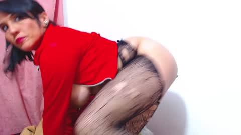 Dania online show from 11.24.25