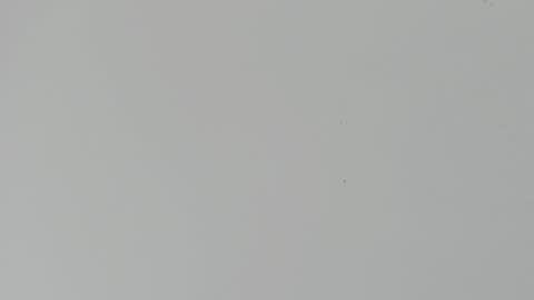 Snapshot of daniel_kingxxx chatting on 03.02.26 daniel_kingxxx online show from 03.02.26