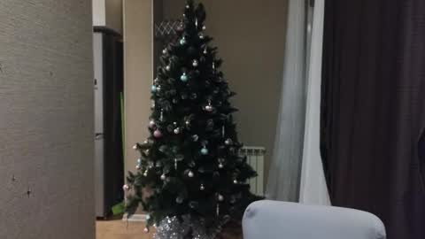 danila online show from 01.18.26