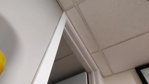 danimal5000 online show from 03.05.26