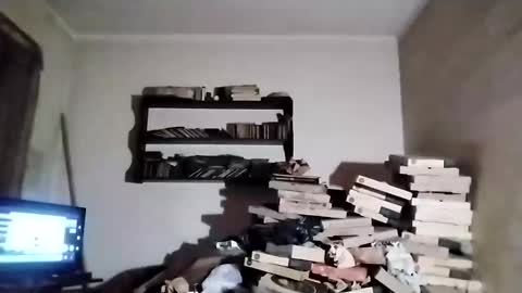 danitacrs online show from 03.23.26