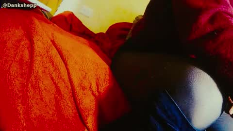 Snapshot of dankshepp chatting on 01.11.26 dandeb online show from 01.11.26