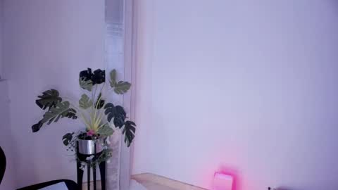 Snapshot of danna_stewart chatting on 03.02.25 Paulina online show from 03.02.25