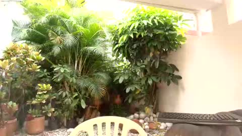 Dannamunoz130 online show from 10.12.25