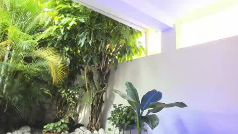 Dannamunoz130 online show from 05.31.26