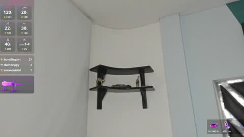 Snapshot of dannadom chatting on 12.19.24 Danna online show from 12.19.24