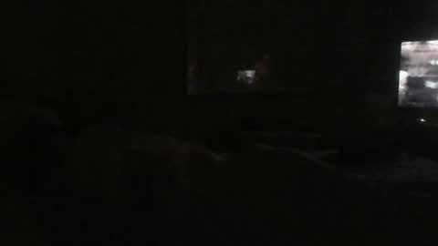 Snapshot of dannyb618 chatting on 12.24.24 Danielle online show from 12.24.24