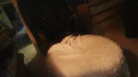 Danielle online show from 04.16.26