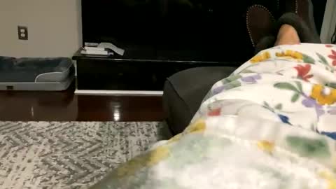 dannyboy621 online show from 10.30.25