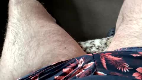 Dano B online show from 03.28.26