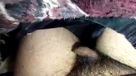 dansweetie_20 online show from 02.12.26