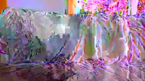 danwick69 online show from 09.17.25