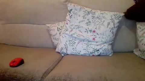 Snapshot of danydotado chatting on 12.21.24 danydotado online show from 12.21.24