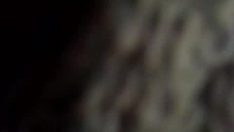 Snapshot of danys69 chatting on 10.11.25 danys69 online show from 10.11.25