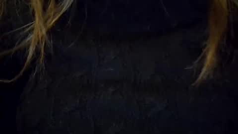 darishechka online show from 11.23.25