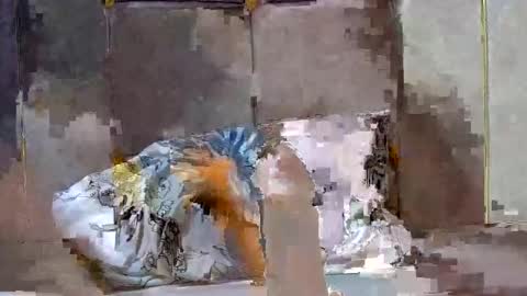 Dark Candy 254 online show from 12.13.24