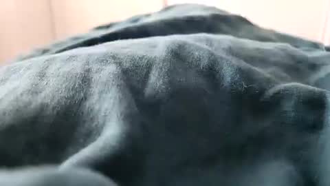 davdao3 online show from 02.16.25