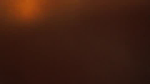 davdao3 online show from 10.22.25