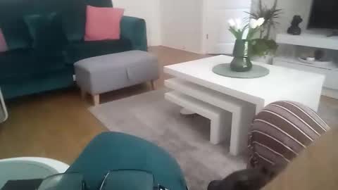 davf76 online show from 04.20.26