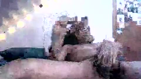 David Berry online show from 02.16.25