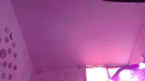 David Fox online show from 11.12.25