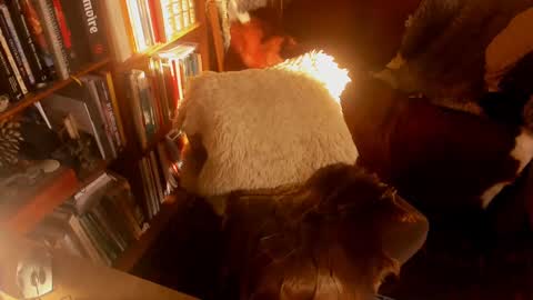 David online show from 01.15.25