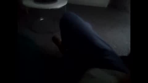 davidf75 online show from 11.30.25