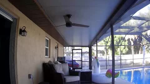 Dazey online show from 01.07.26