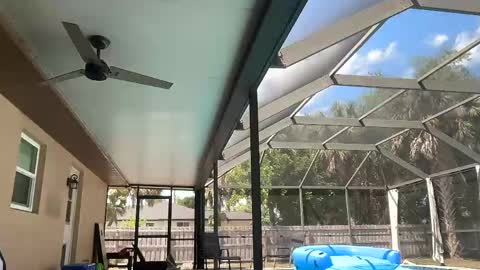 Dazey online show from 04.30.26