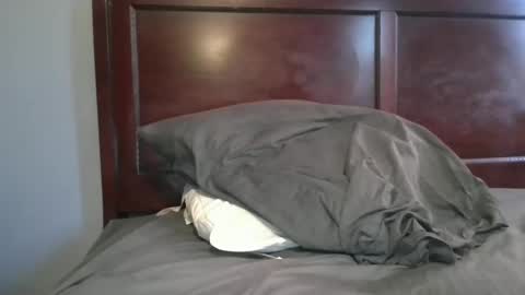 dbm1620 online show from 11.02.25