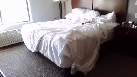 DCrush online show from 12.08.24