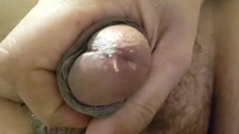 deathzamboni online show from 12.15.24