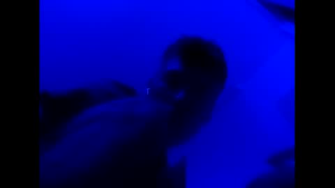 deezzee_5280 online show from 02.26.26