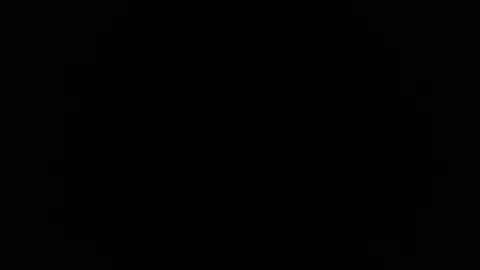 deliv_shopi online show from 11.09.25