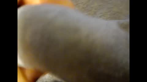 deliv_shopi online show from 11.25.25