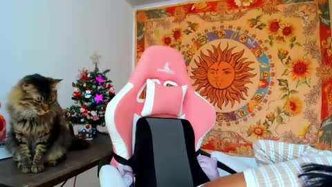 Snapshot of demeter__ chatting on 12.11.24 demeter__ online show from 12.11.24