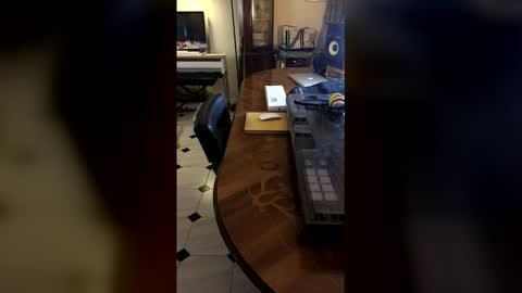 Demonomad online show from 03.19.26